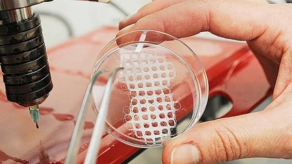 Maastricht大学启动欧洲最大3D生物打印项目